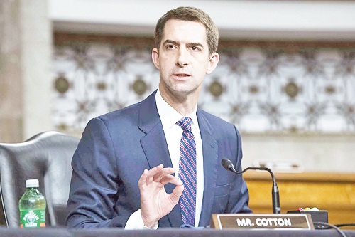 tom cotton