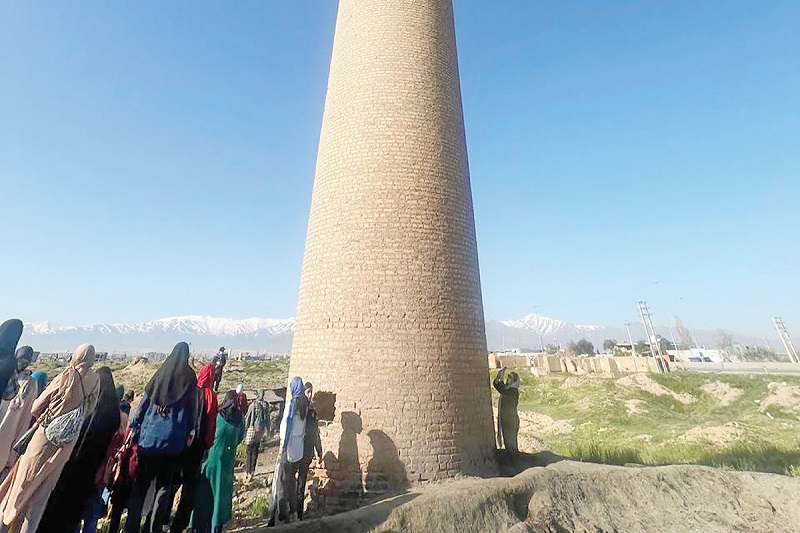 IMG_20240504_153459_541