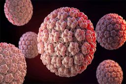 ویروس HPV از استخر منتقل می‌شود؟