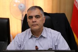 وزیر نفت: اختلاط آب و بنزین از نظر فنی ممکن نیست