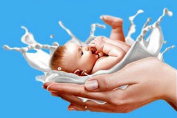 پیوندی از جنس حیات/درباره هفته شیر مادر