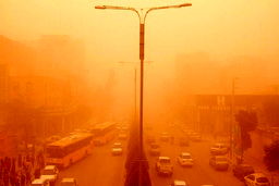 در روزهای غبارآلود مصرف این خوراکی‌ها را فراموش نکنید 