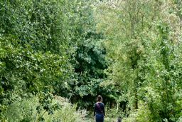 پژوهش جدید درباره ارتباط انسان و طبیعت: نسل‌های آینده  آگاهی و تجربه خود از طبیعت را از دست خواهند داد