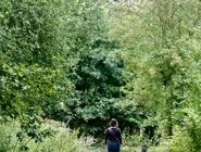 پژوهش جدید درباره ارتباط انسان و طبیعت: نسل‌های آینده  آگاهی و تجربه خود از طبیعت را از دست خواهند داد