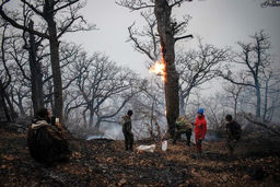 بالگردها دیر رسیدند، جنگل بیابان شد/گزارش میدانی از آتش‏‌سوزی جنگل‏‌های الیت چالوس که در صورت گسترده‌‏تر شدن موجب تخلیه دو روستا خواهد شد