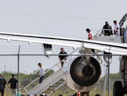 استیون‌های ایرانی/به‌بهانه اخراج بیش از 100مهاجر هموطن از خاک آمریکا