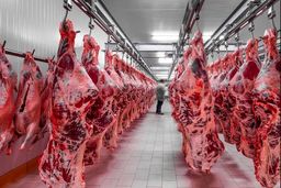 دستور عارف برای واردات گوشت قرمز