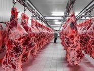 دستور عارف برای واردات گوشت قرمز