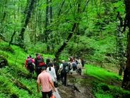 اطلاعیه مهم برای مسافران شمال