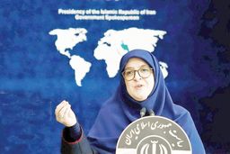 پاسخ مهاجرانی به ادعای نقش دولت در نوسانات ارزی