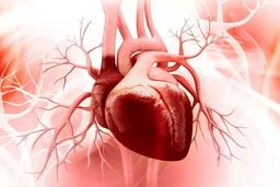 با مصرف این ویتامین‌ها قلب‌تان را تقویت کنید 