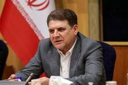 معاون وزیر کشور: در قانون احزاب بازنگری می‌شود 