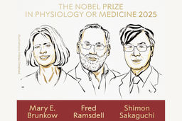 نوبل پزشکی به تحقیقات مرتبط با ایمنی رسید