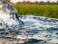 خشکی ریشه زندگی