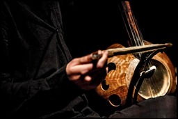 اعلام آمادگی هنرمندان جشنواره موسیقی نواحی برای اهدای خون به مجروحان سانحه بندرعباس 