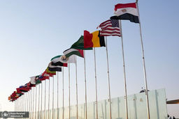 فرصت یا تله؟