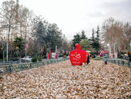 روزگار سخت مردم بی‏‌یلدا/روایت طبقات فرودست که به‌‏دلیل وضعیت بدمعیشتی نمی‌‏توانند بلندترین شب سال را جشن بگیرند