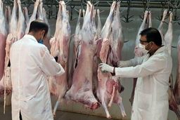 شرفی: ضبط فرآورده‌های ناسالم یک تعهد اخلاقی و انسانی است