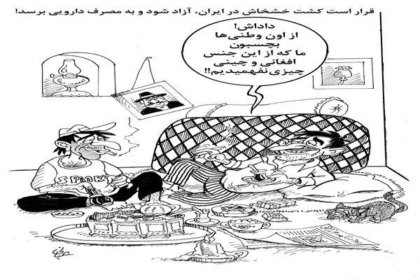 کشت خشخاش در ایران/کاریکاتور احمد عربانی