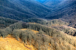 ۳ منطقه جدید به مناطق تحت حفاظت سازمان محیط‌زیست اضافه شد