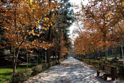 پیش‌بینی وضعیت آب‌وهوا؛ امروز جمعه ۲۳ آبان ۱۴۰۴