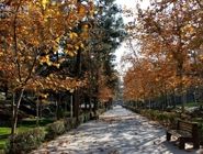 کیفیت هوای تهران «قابل قبول» شد