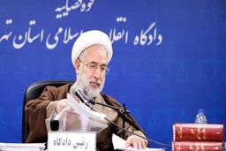 دادستان کل کشور: خسارت ها باید از حامیان «فتنه سلطنت» مطالبه شود