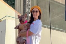 پتونیا، زشت‌ترین سگ جهان، برنده ۵۰۰۰ دلار شد