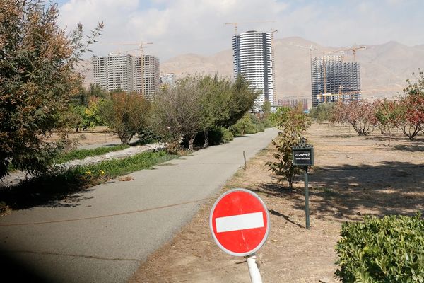 نابودی در کمین باغ ‌گیاه‌شناسی