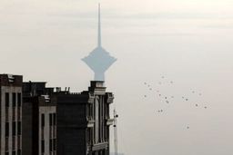 وزارت ارشاد: توقف همه برنامه‌های فرهنگی در پایتخت