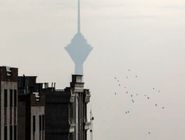 وزارت ارشاد: توقف همه برنامه‌های فرهنگی در پایتخت