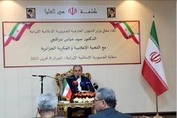 عراقچی: مذاکرات آتی در مسقط، آزمونی برای سنجش جدیت آمریکاست