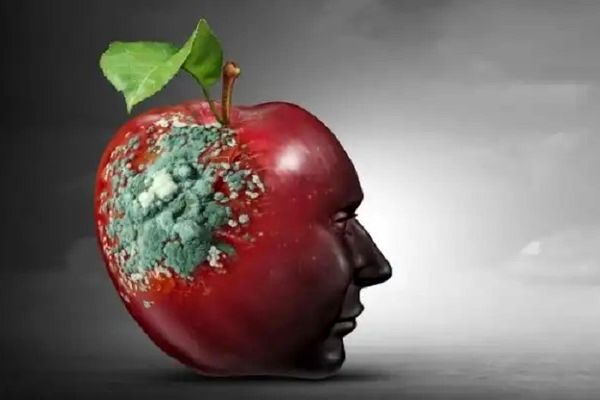 سکوت مغزها در هیاهوی دیجیتال