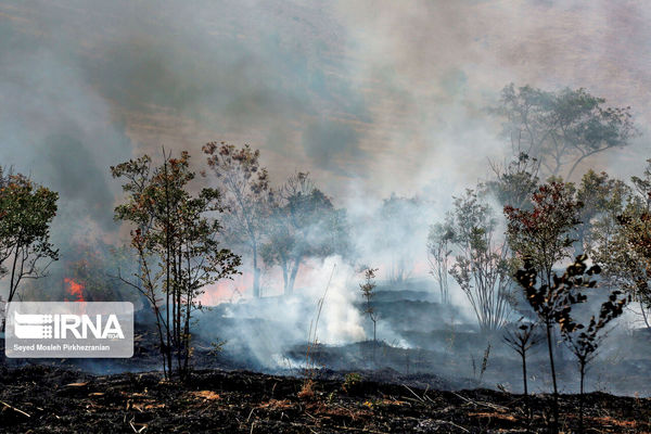 جان دادن میان آتش/روایتی از جان‏‌باختن حمید مرادی در جریان اطفای حریق و بررسی روند پرونده‌های 20 جانباخته در حریق‏‌های زاگرس