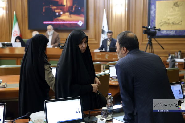 هتاکی به نرجس سلیمانی در فضای مجازی به شورای شهر تهران کشیده شد/ چند می‌گیری تخریب کنی؟