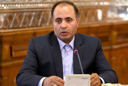 ارز ترکیبی نهاده‌های دامی منتفی شد