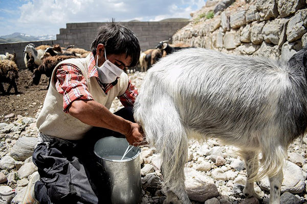 از لیقوان تا روکفور