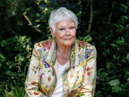 تقاضای دنچ برای بخشش واینستاین