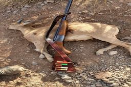 شکارچی متخلف در منطقه حفاظت‌شده دنا دستگیر شد