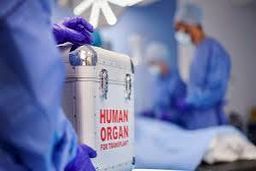 مرگ روزانه ۷ تا ۱۰ بیمار به دلیل کمبود عضو پیوندی