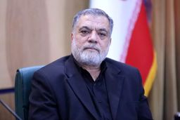 نماینده مجلس: مکانیسم ماشه اسلحه بدون خشاب است