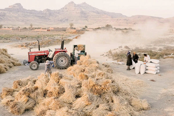 توفان تخلیه/خشکی دریاچه ارومیه و توفان‌های نمک موجب مهاجرت مردان و بیکاری زنان روستاهای اطراف، افزایش سرطان،  انواع بیماری‌های ناشناخته و خشونت شده است