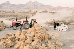 توفان تخلیه/خشکی دریاچه ارومیه و توفان‌های نمک موجب مهاجرت مردان و بیکاری زنان روستاهای اطراف، افزایش سرطان،  انواع بیماری‌های ناشناخته و خشونت شده است