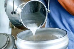 علت افزایش قیمت شیر مشخص شد 