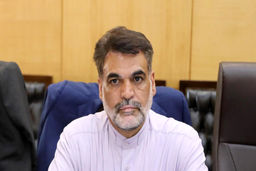 نماینده مجلس: داریم بانوان را بر علیه خود می کنیم