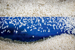 غذای جهان گران‏‌تر می‌‏شود/بررسی عوامل تشدیدکننده قیمت مواد غذایی و تاثیر آن بر توسعه پایدار