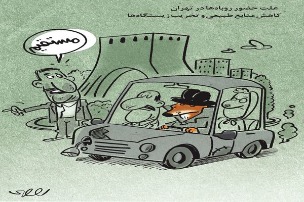 روباه‌های تهران/ کاریکاتور محمدرضا ثقفی
