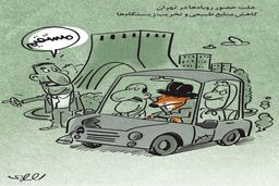 روباه‌های تهران/ کاریکاتور محمدرضا ثقفی