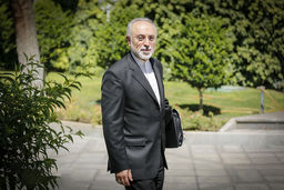 دیپلماسی هیستریونیک/ به بهانه جمله‌ای در مصاحبه اخیر علی‌اکبر صالحی