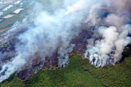 آتش‌سوزی در بخش عراقی هورالعظیم؛ ایران خواستار رهاسازی حقابه شد